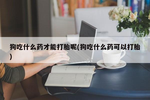 米非米索联系微信狗吃什么药才能打胎呢(狗吃什么药可以打胎)