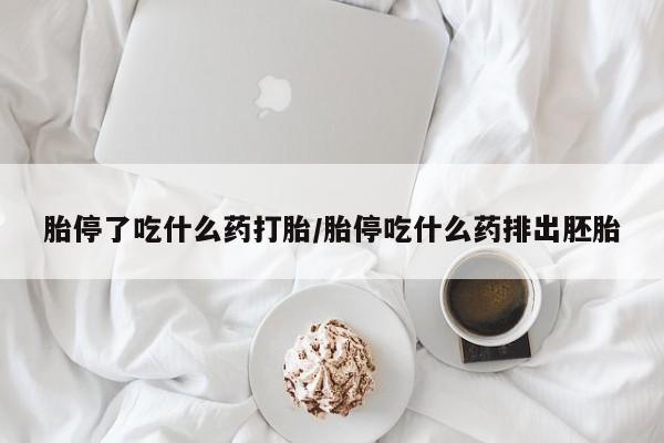 米非米索联系微信新闻 第228页