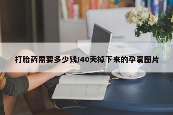 米非米索联系微信打胎药需要多少钱/40天掉下来的孕囊图片